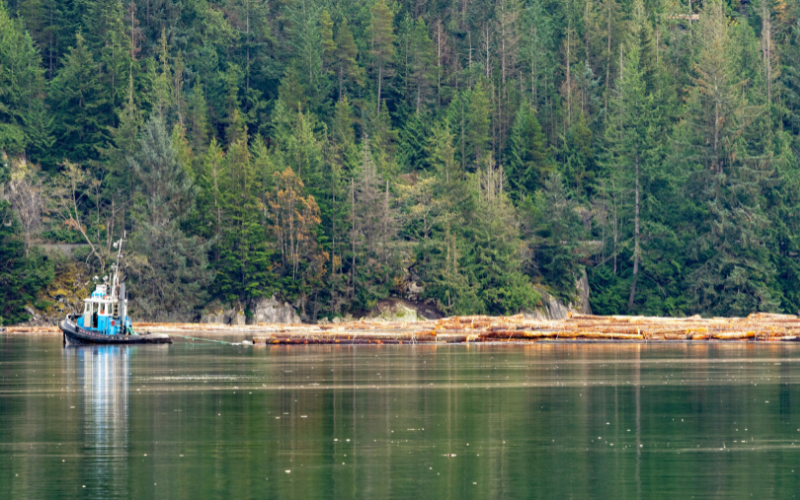 Tara River – A Natural Paradise in the Heart of the Balkans