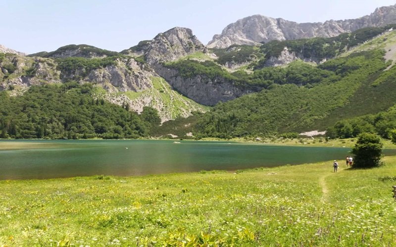 Rafting na Tari: Lepote kanjona iz prve ruke